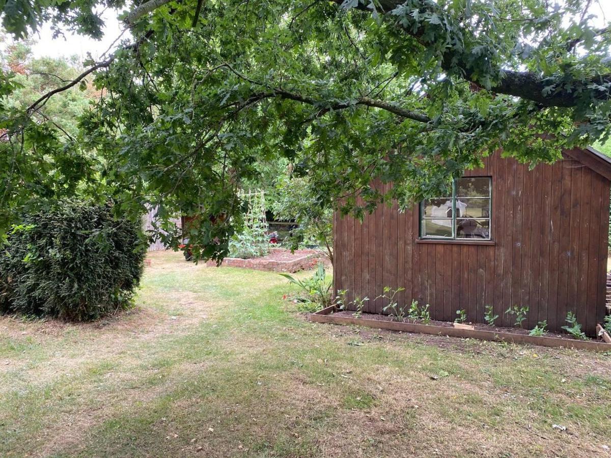 Orchard Cabin Herefordshire Wye Valley Ross-on-Wye 외부 사진